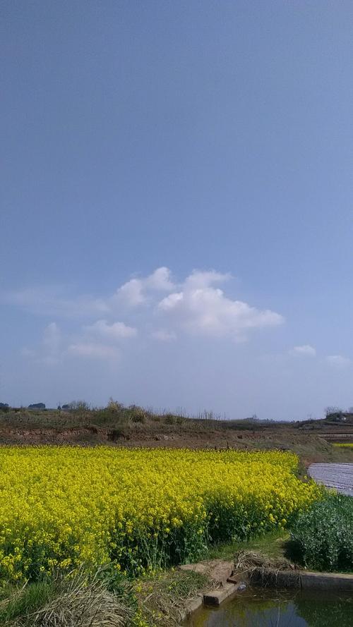 石笼网 第206页