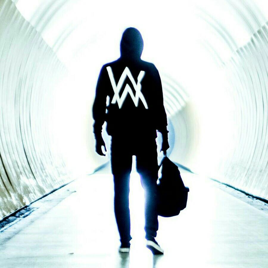 Alan Walker最新动态，音乐之旅的更新与揭秘