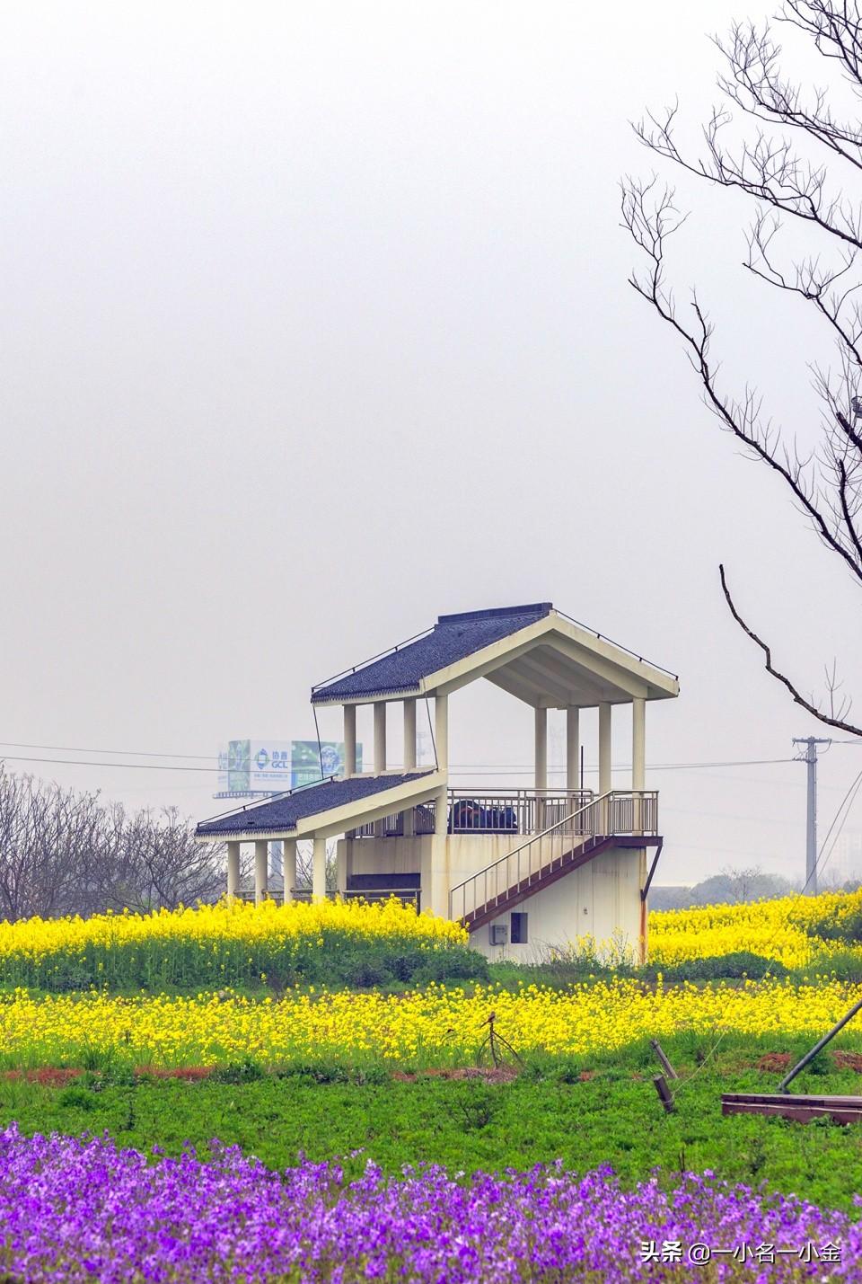 吴中区农业农村局最新发展规划揭秘