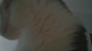 最新奶妈视频，现代育儿新视角的探索