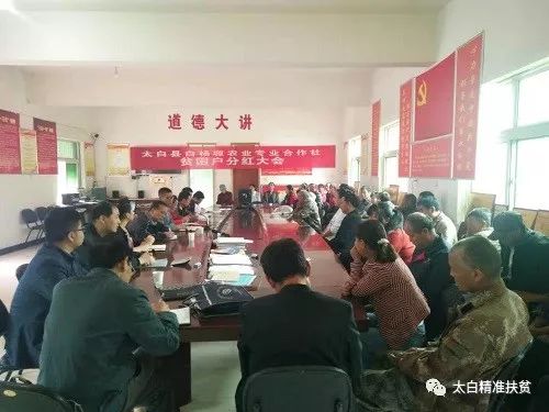 胥塬村委会最新项目，乡村振兴的新动力源泉