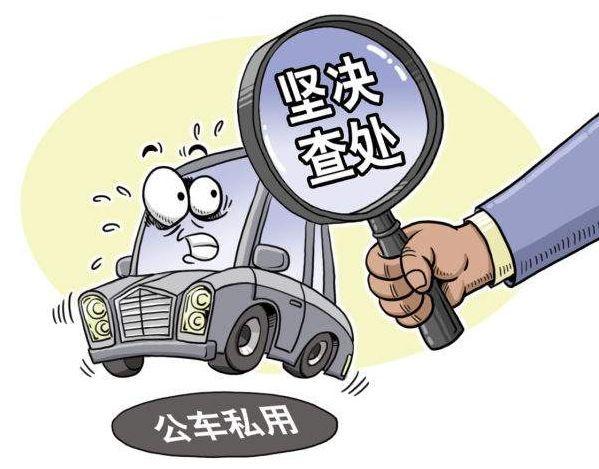 东坡区人民政府办公室最新发展规划概览