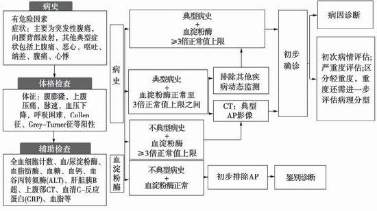 最新急救流程详解，拯救生命的高效指南