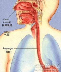 食道癌最新治疗方法的探索与应用，创新研究引领未来治疗方向
