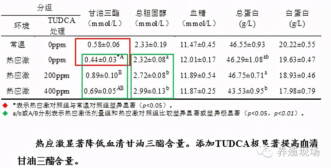 2025年3月1日 第5页