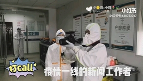曲江区防疫检疫站最新消息报道，防疫动态与检疫进展更新速递