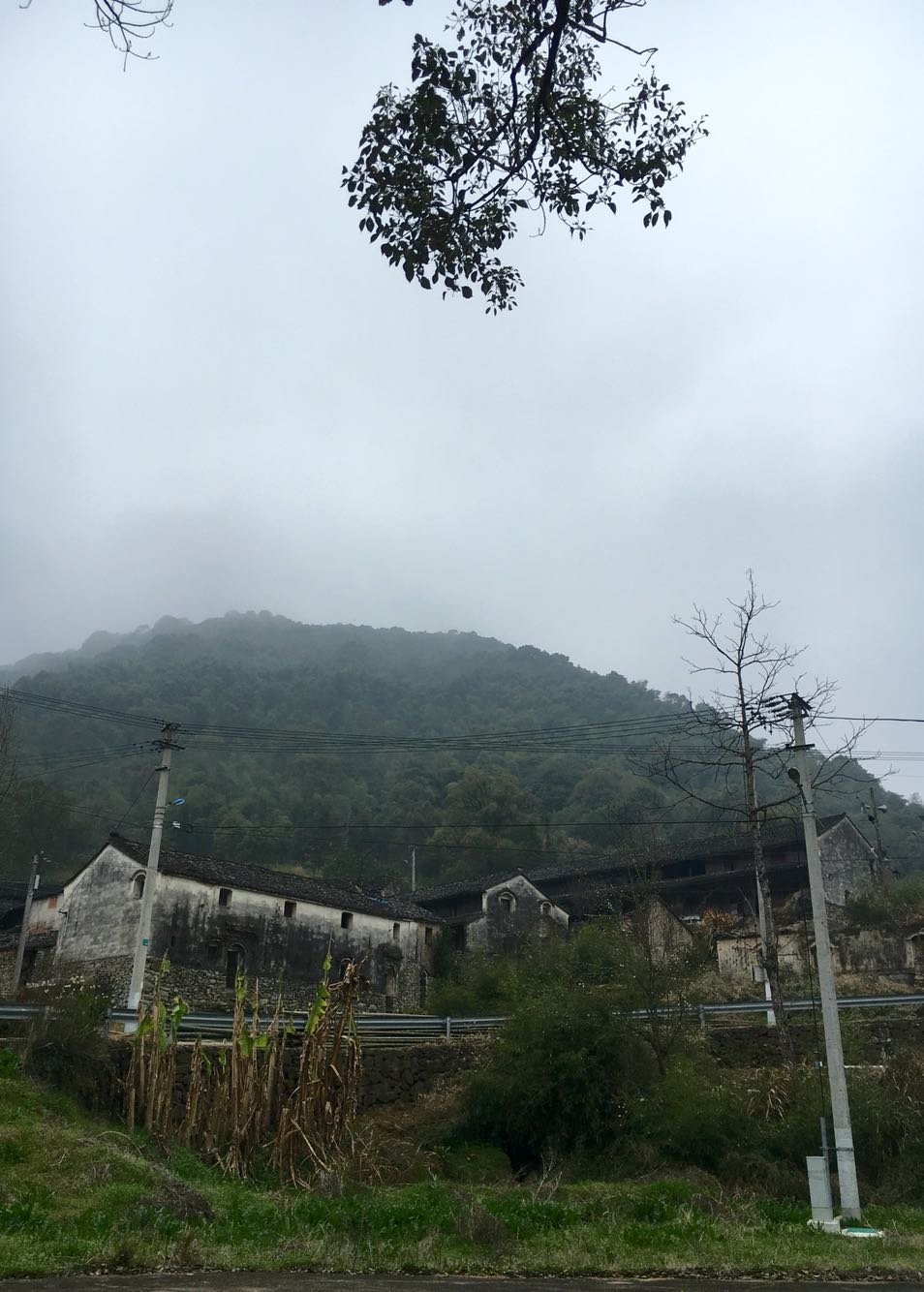 最仁村最新天气预报更新通知