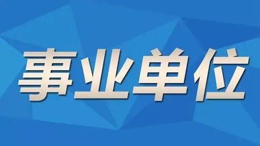 金凤区级托养福利事业单位的最新动态与成就新闻速递