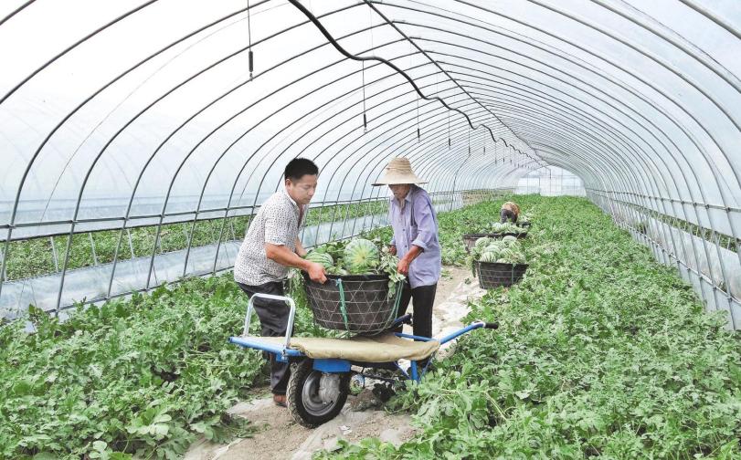 庐江58同城最新招聘动态深度解析与求职指南