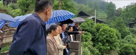 苗儿滩镇最新新闻速递，最新报道一览无余