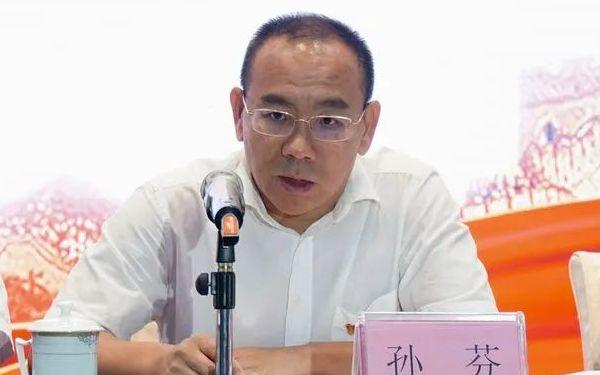 海口市财政局最新项目，财政力量推动城市蓬勃发展