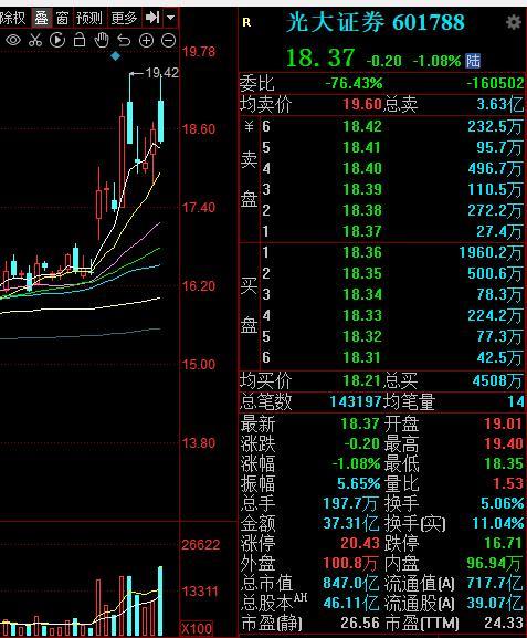 证券股最新行情深度解析与动态速递