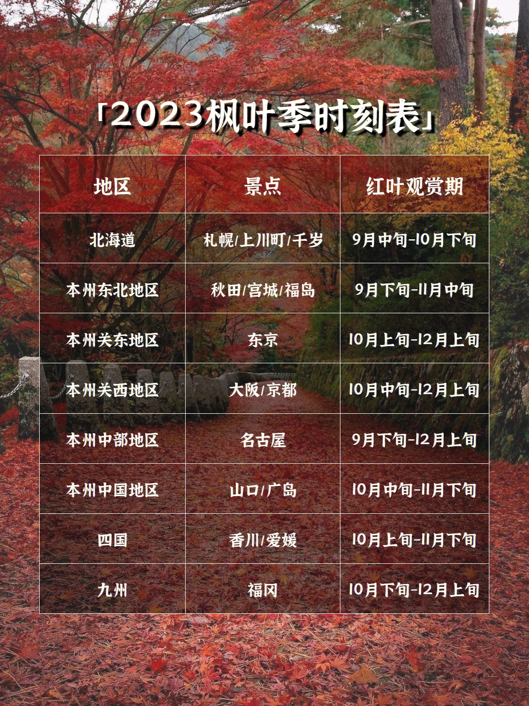未来之美探索，最新枫演变与影响至2025年展望