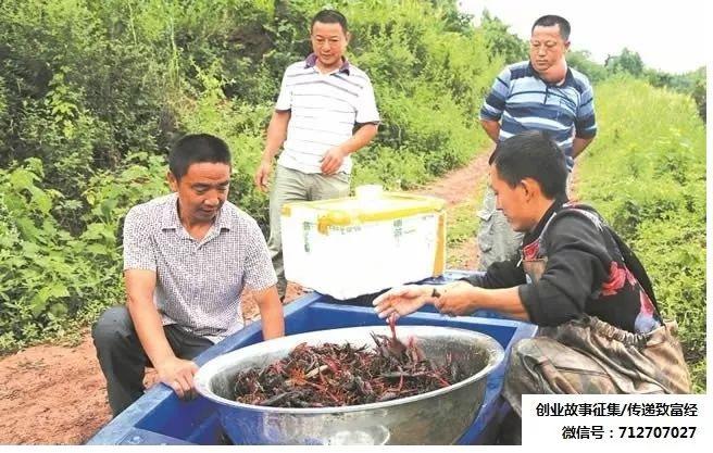 乐至县退役军人事务局新项目启动，重塑荣耀，筑梦未来