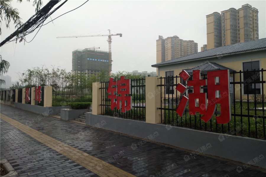 锦湖引领行业变革，揭晓最新进展塑造未来蓝图