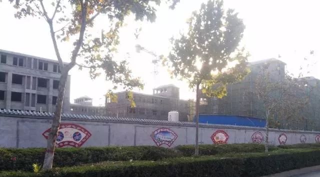 红旗区小学最新项目，探索教育创新，培育未来之星之光