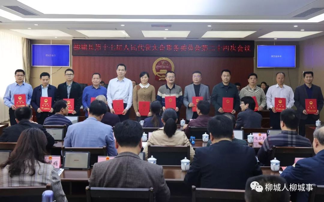 五指山市人力资源和社会保障局最新人事任命及动态更新