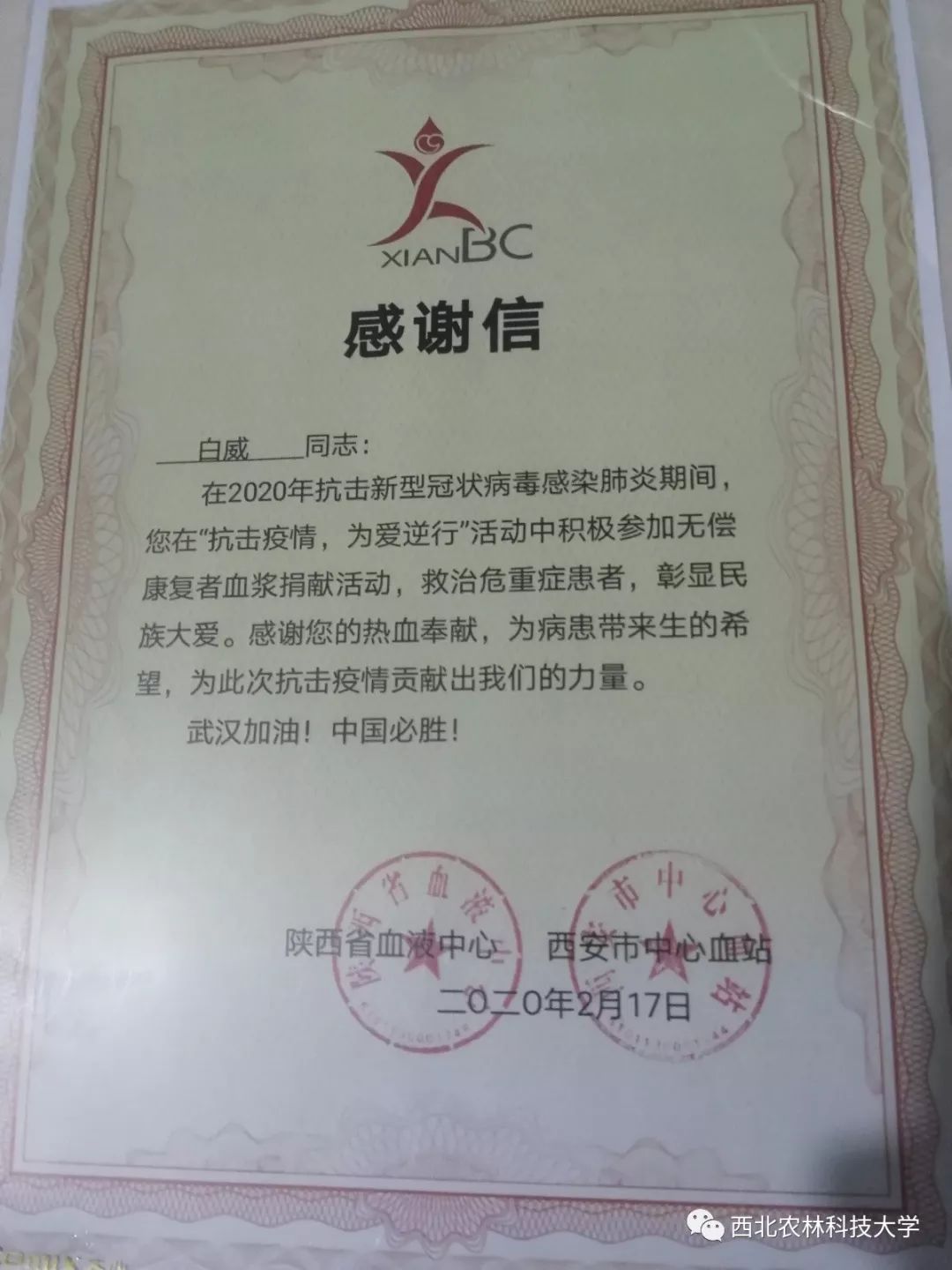 西青区康复事业单位人事任命，推动康复事业发展的强大力量新阵容亮相