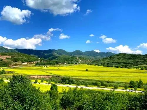 隆德县文化广电体育和旅游局最新项目，文化与旅游的深度融合探索