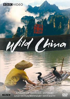 纪录片最新一期揭秘未知世界的真实面貌探索之旅