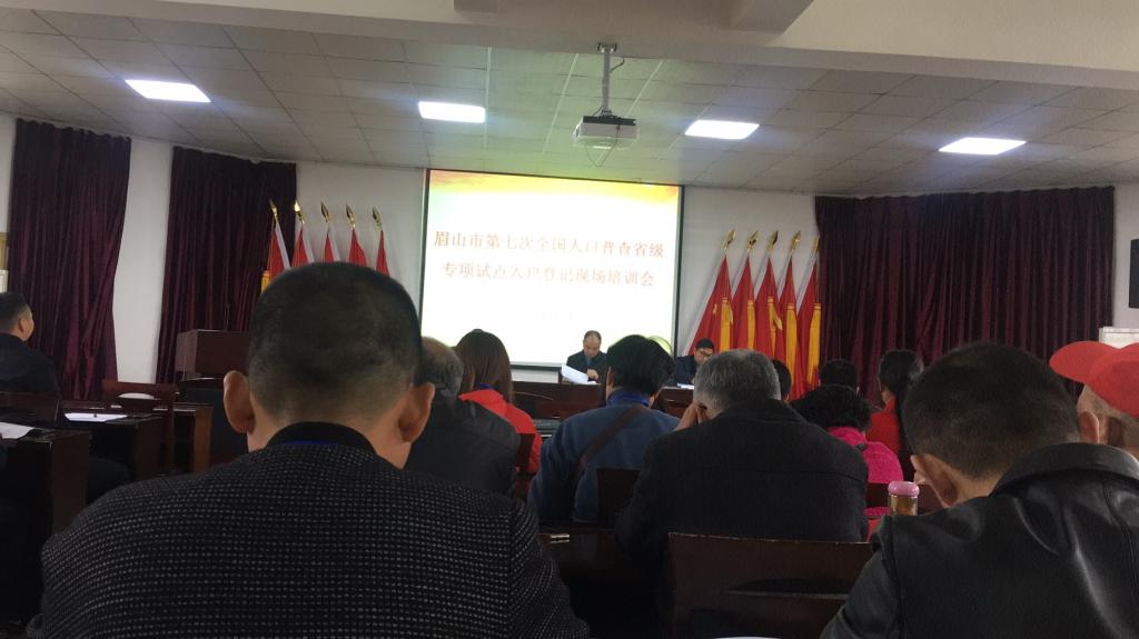 东坡区统计局最新项目概览，探索数据世界，揭示发展脉络