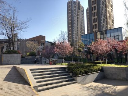 生活印象最新，探索现代生活的多彩画卷