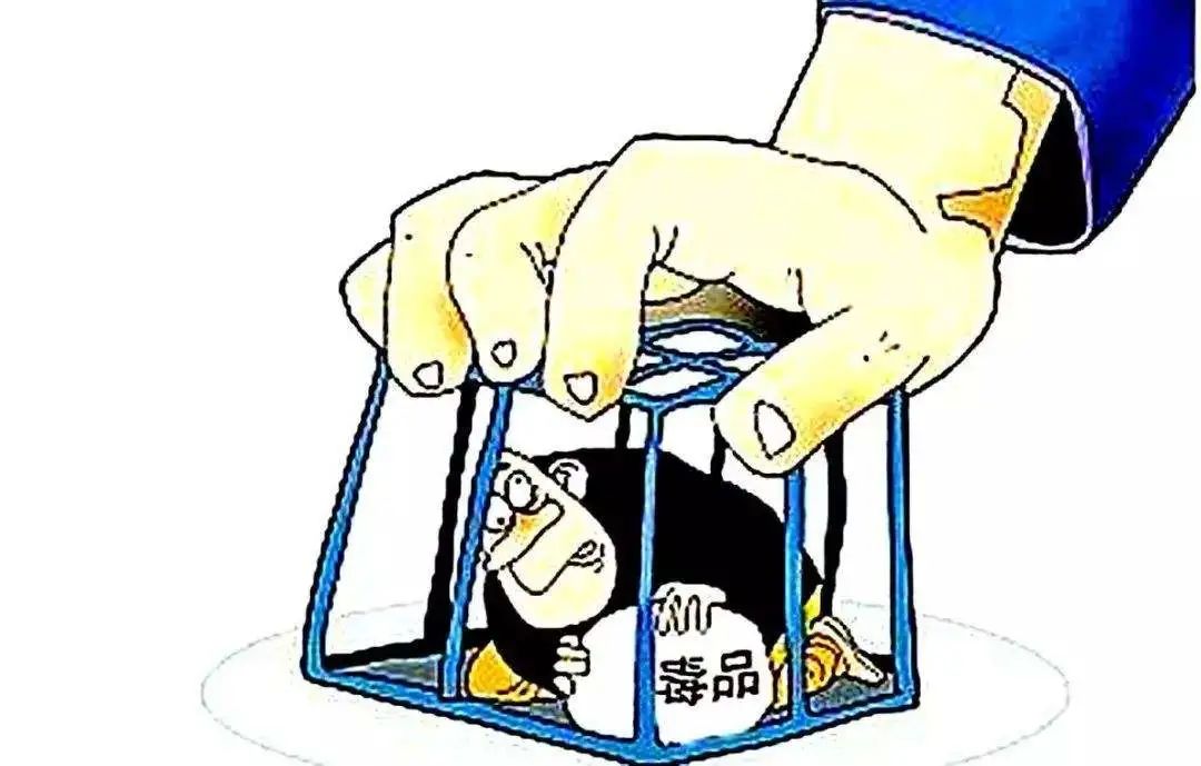 最新贩毒法实施及其影响分析